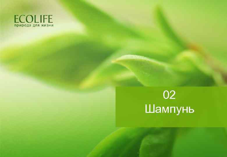02 Шампунь 