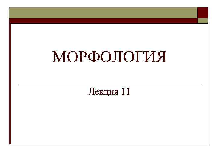 МОРФОЛОГИЯ Лекция 11 
