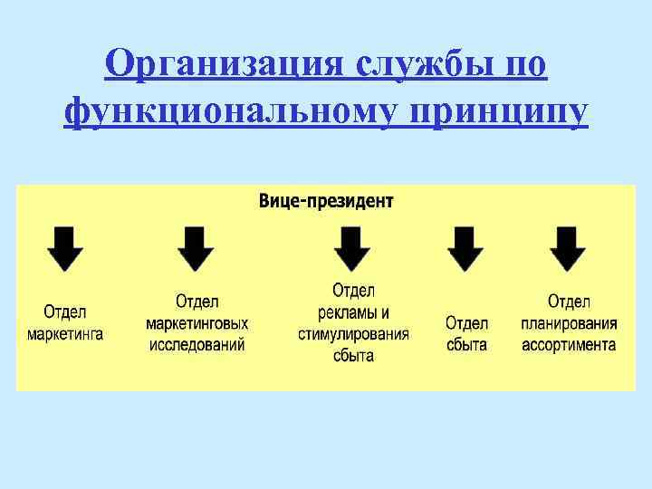 Организация службы по функциональному принципу 