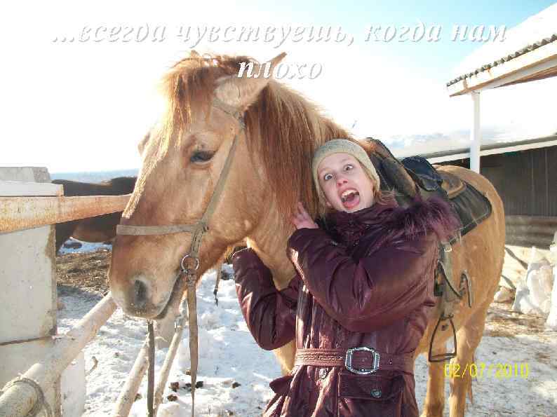 . . . всегда чувствуешь, когда нам плохо 