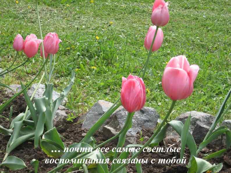 … почти все самые светлые воспоминания связаны с тобой 