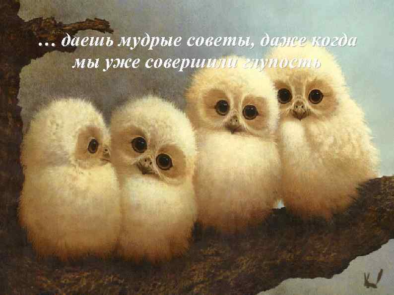 … даешь мудрые советы, даже когда мы уже совершили глупость 