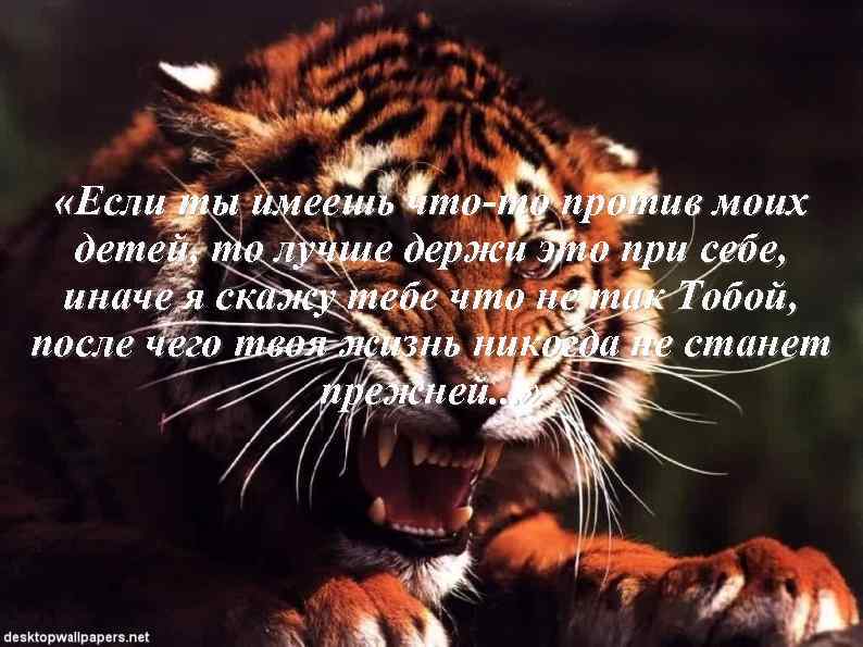  «Если ты имеешь что-то против моих детей, то лучше держи это при себе,