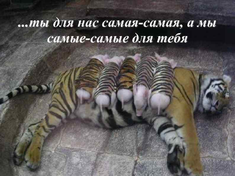 . . . ты для нас самая-самая, а мы самые-самые для тебя 