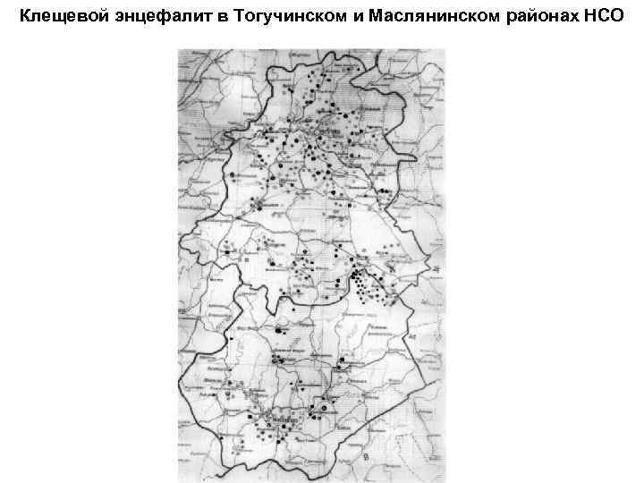Клещевой энцефалит в Тогучинском и Маслянинском районах НСО 