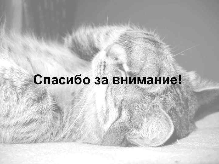 Спасибо за внимание! 