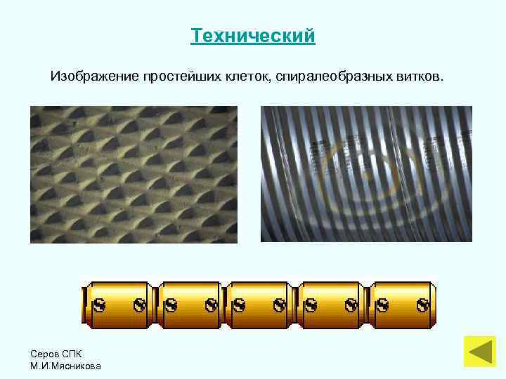 Технический Изображение простейших клеток, спиралеобразных витков. Серов СПК М. И. Мясникова 