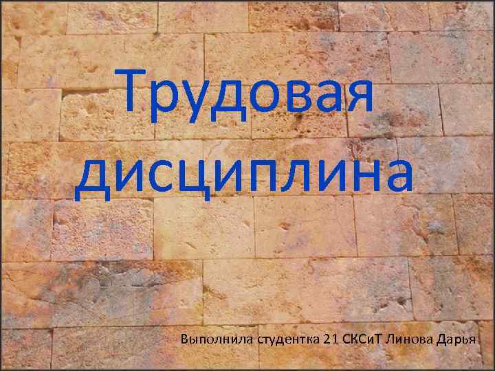 Трудовая дисциплина Выполнила студентка 21 СКСи. Т Линова Дарья 
