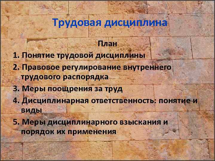 Трудовая дисциплина План 1. Понятие трудовой дисциплины 2. Правовое регулирование внутреннего трудового распорядка 3.