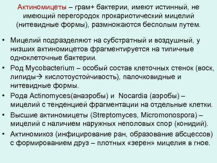 Актиномицеты – грам+ бактерии, имеют истинный, не имеющий перегородок прокариотический мицелий (нитевидные формы), размножаются