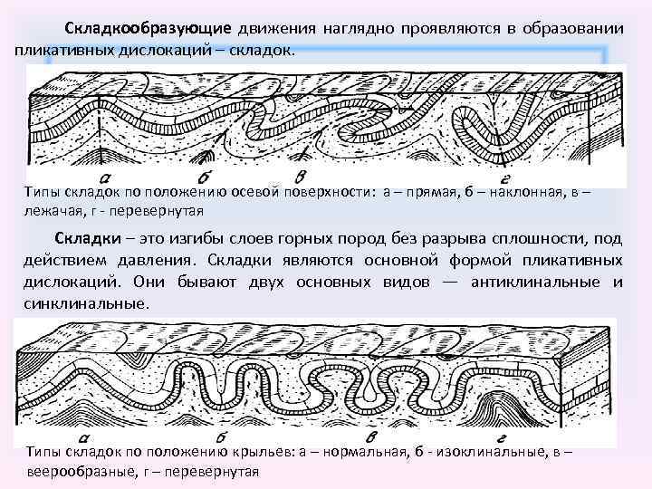 Сопоставьте элементы рисунка а б в г с типами складок по положению крыльев