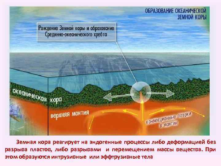  Земная кора реагирует на эндогенные процессы либо деформацией без разрыва пластов, либо разрывами