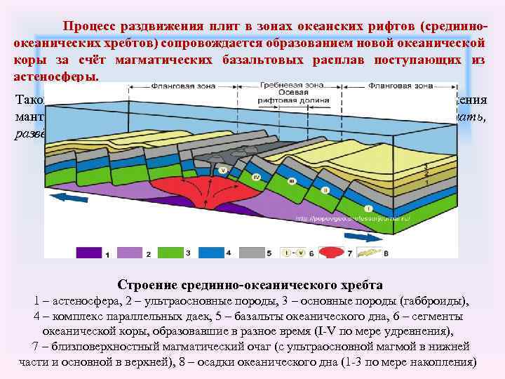 Процесс раздвижения плит в зонах океанских рифтов (срединноокеанических хребтов) сопровождается образованием новой океанической
