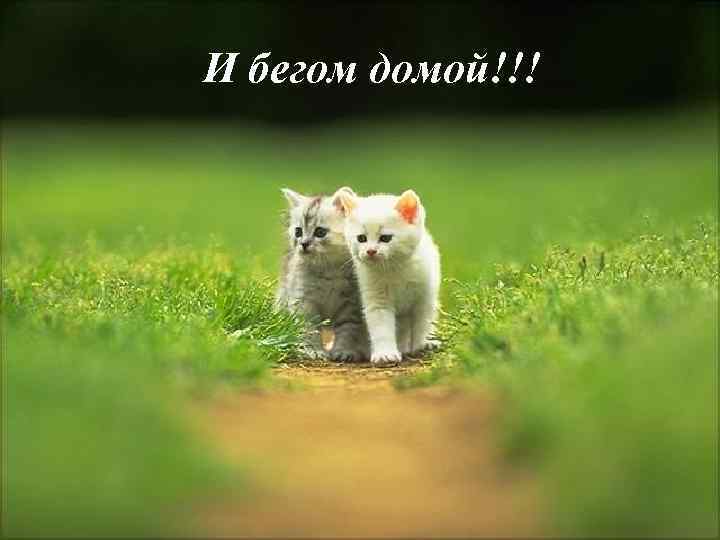 И бегом домой!!! 