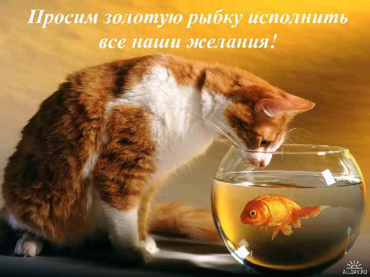 Просим золотую рыбку исполнить все наши желания! 