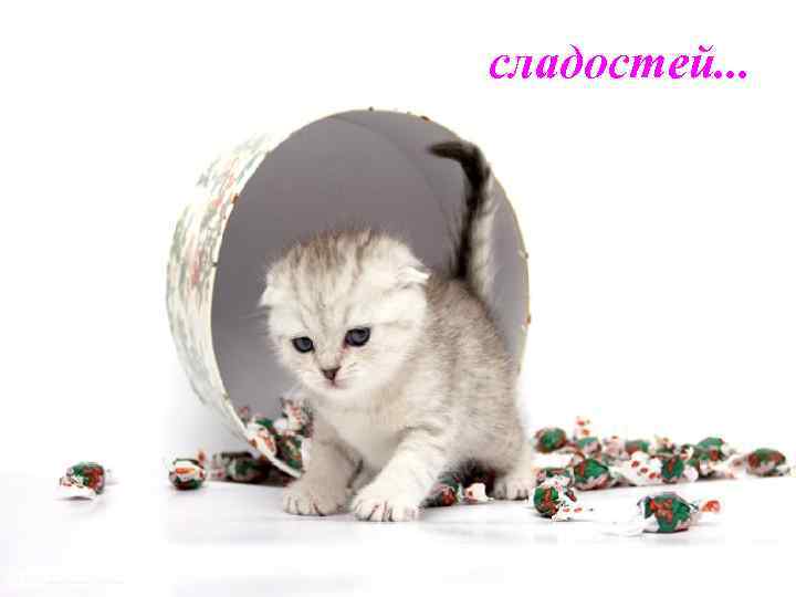 сладостей. . . 