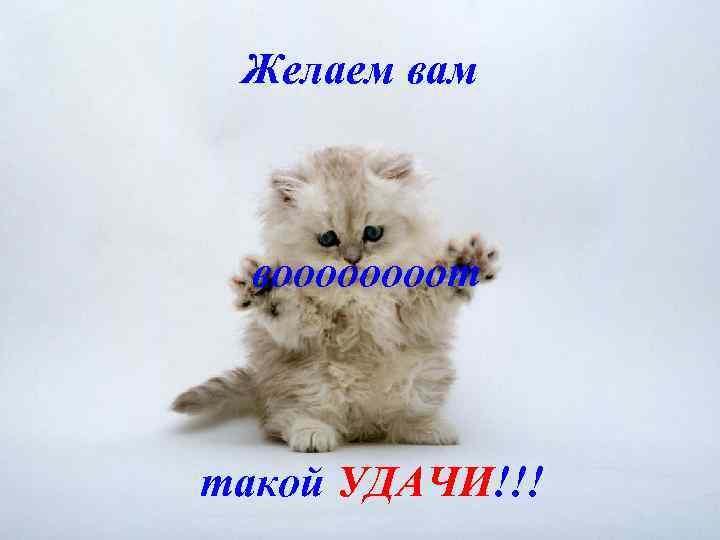 Желаем вам воооот такой УДАЧИ!!! 