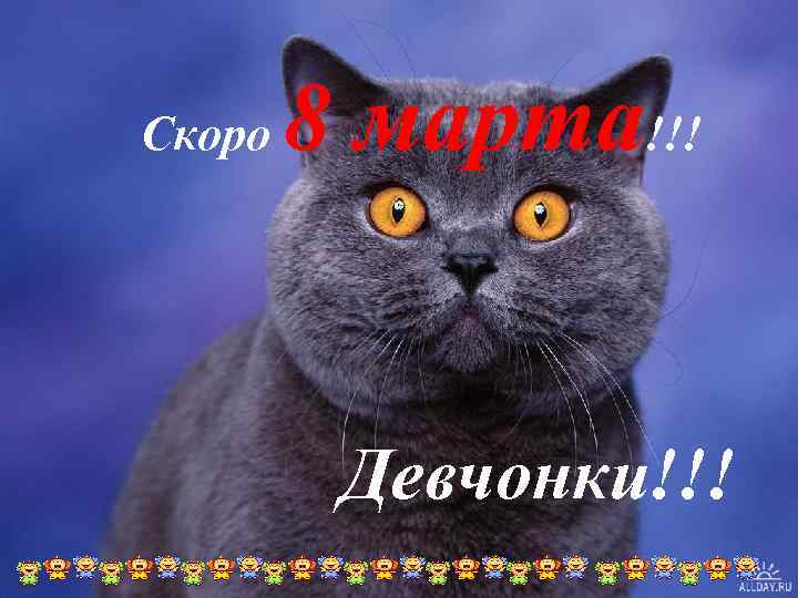 Скоро 8 марта!!! Девчонки!!! 