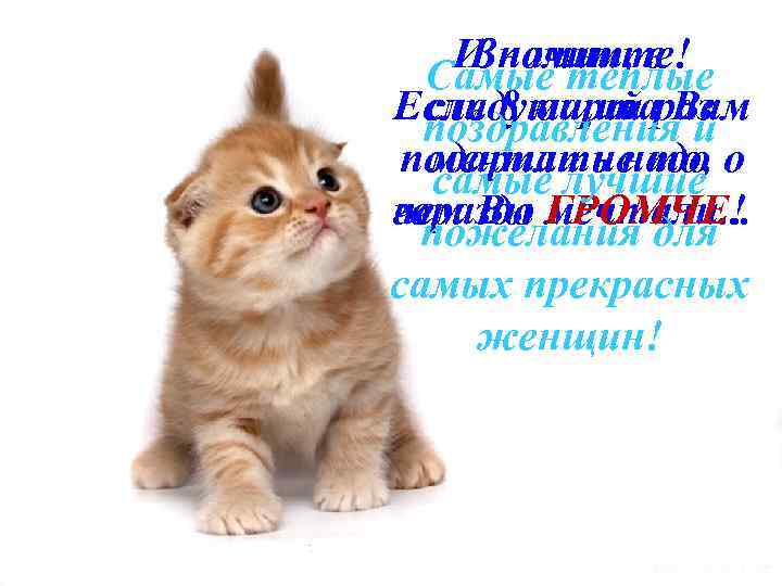 И помните! Значит, в Самые теплые Если 8 мартараз следующий Вам поздравления и подарили