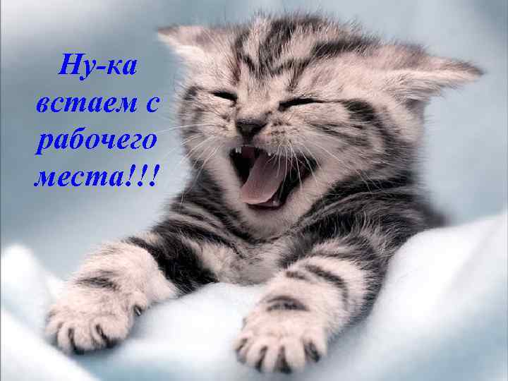 Ну-ка встаем с рабочего места!!! 