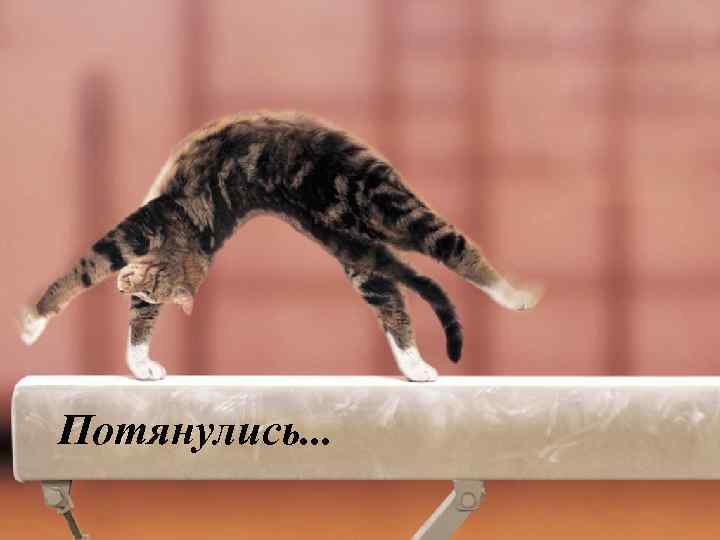 Потянулись. . . 