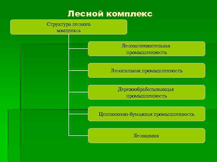 Схема лесного комплекса