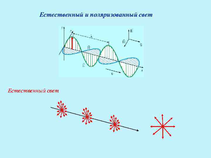 Плоскополяризованный свет рисунок