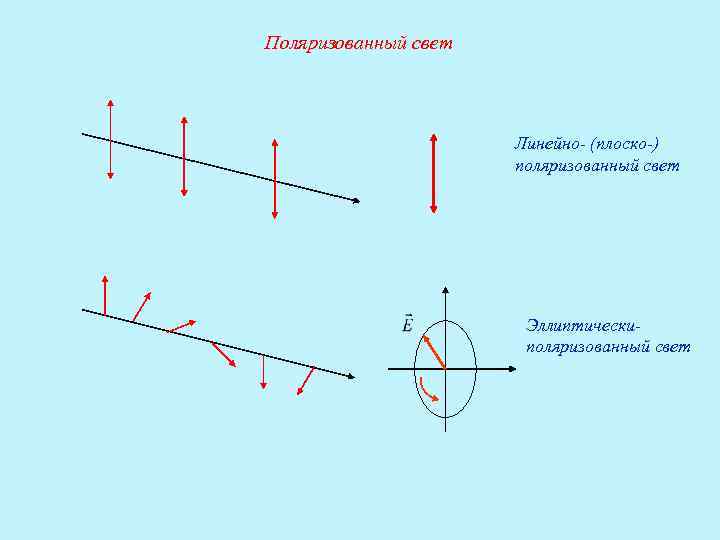 Плоскополяризованный свет рисунок