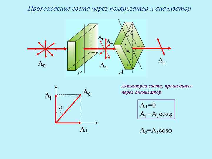 Поляризатор