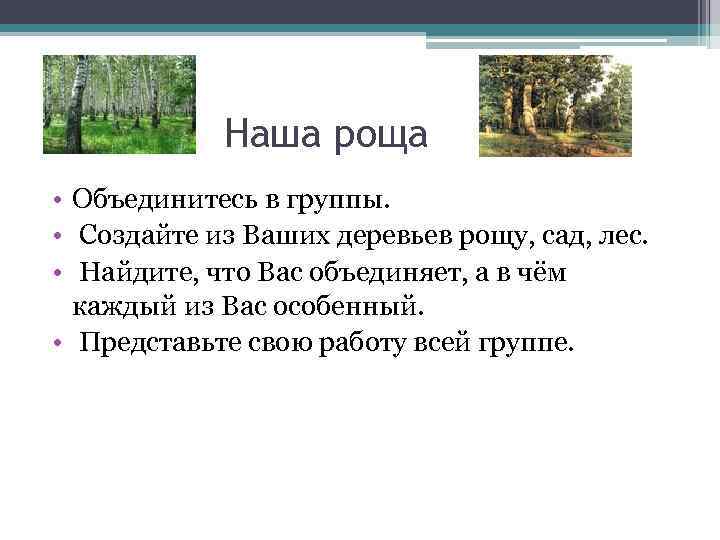 Наша роща • Объединитесь в группы. • Создайте из Ваших деревьев рощу, сад, лес.