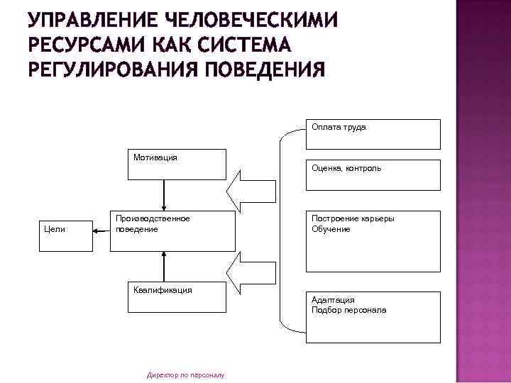 УПРАВЛЕНИЕ ЧЕЛОВЕЧЕСКИМИ РЕСУРСАМИ КАК СИСТЕМА РЕГУЛИРОВАНИЯ ПОВЕДЕНИЯ Оплата труда Мотивация Оценка, контроль Цели Производственное