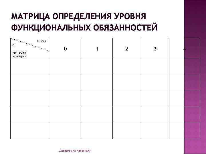 МАТРИЦА ОПРЕДЕЛЕНИЯ УРОВНЯ ФУНКЦИОНАЛЬНЫХ ОБЯЗАННОСТЕЙ Оценк а критерия Критерии 0 Директор по персоналу 1