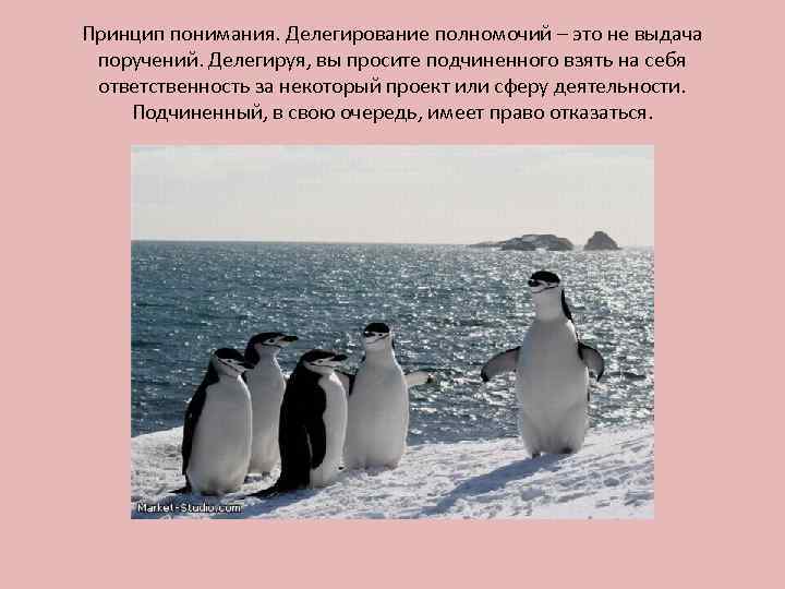 Принцип понимания. Делегирование полномочий – это не выдача поручений. Делегируя, вы просите подчиненного взять