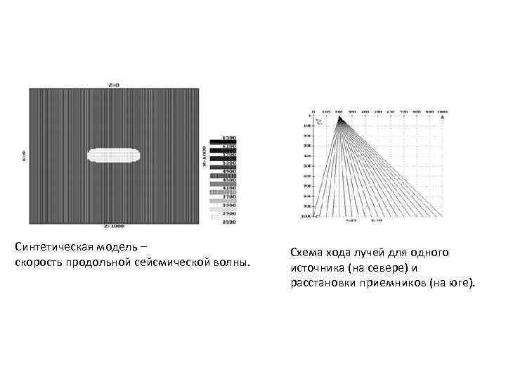Синтетическая модель – скорость продольной сейсмической волны. Схема хода лучей для одного источника (на