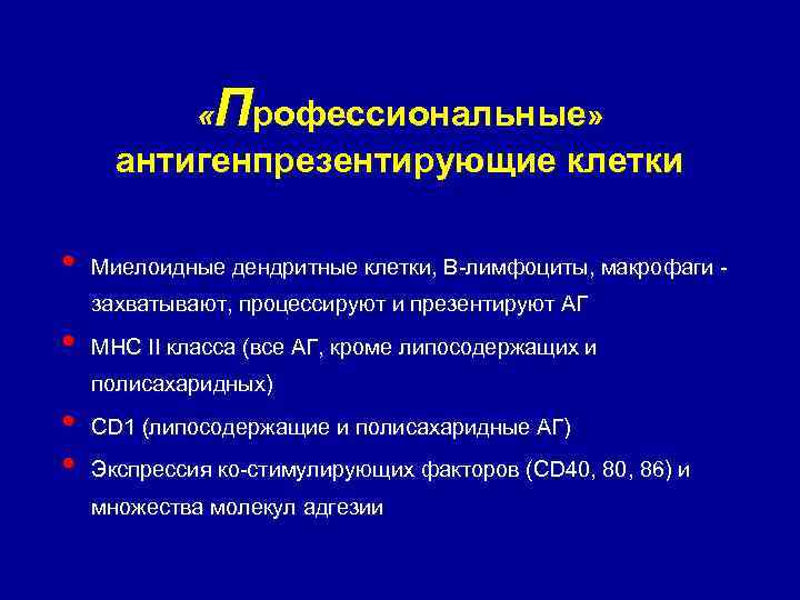 Профессиональные» « антигенпрезентирующие клетки • Миелоидные дендритные клетки, В-лимфоциты, макрофаги захватывают, процессируют и презентируют