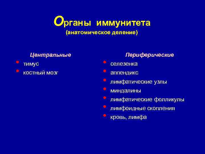 Органы иммунитета (анатомическое деление) • • Центральные тимус костный мозг • • Периферические селезенка