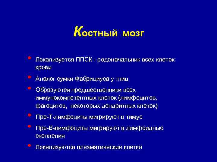 Костный мозг • • • Локализуется ППСК - родоначальник всех клеток крови Аналог сумки