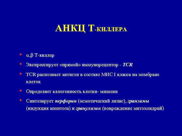 АНКЦ Т-КИЛЛЕРА • • • , Т-киллер • • Определяет аллогенность клетки- мишени Экспрессирует