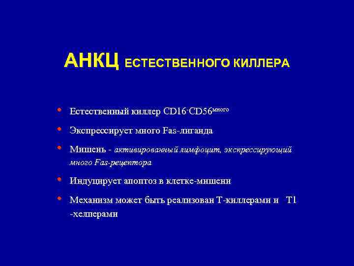 АНКЦ ЕСТЕСТВЕННОГО КИЛЛЕРА • • • Естественный киллер CD 16 -CD 56 много Экспрессирует