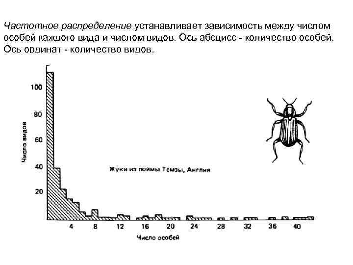 Частотное распределение устанавливает зависимость между числом особей каждого вида и числом видов. Ось абсцисс
