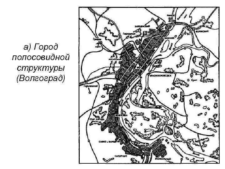 а) Город полосовидной структуры (Волгоград) 