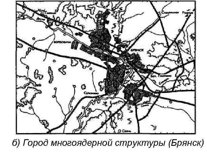 б) Город многоядерной структуры (Брянск) 