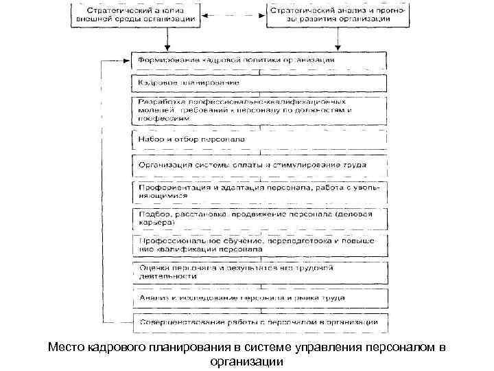 Место кадрового планирования в системе управления персоналом в организации 