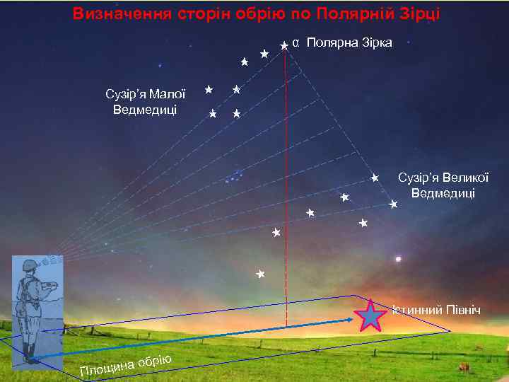 Визначення сторін обрію по Полярній Зірці α Полярна Зірка Сузір’я Малої Ведмедиці Сузір’я Великої