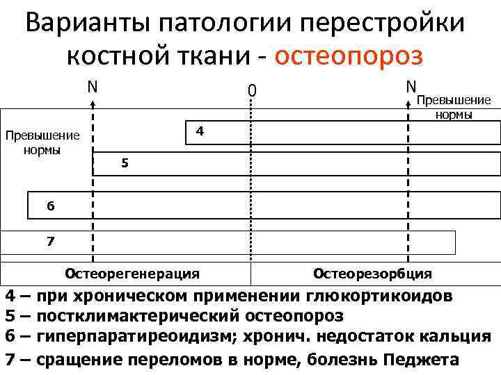 Варианты патологии перестройки костной ткани - остеопороз N Превышение нормы 0 N Превышение нормы