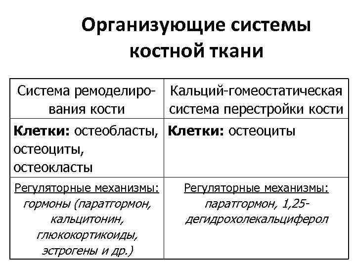 Организующие системы костной ткани Система ремоделиро- Кальций-гомеостатическая вания кости система перестройки кости Клетки: остеобласты,