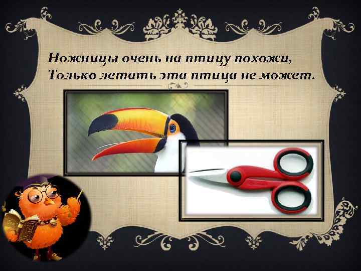 Ножницы очень на птицу похожи, Только летать эта птица не может. 