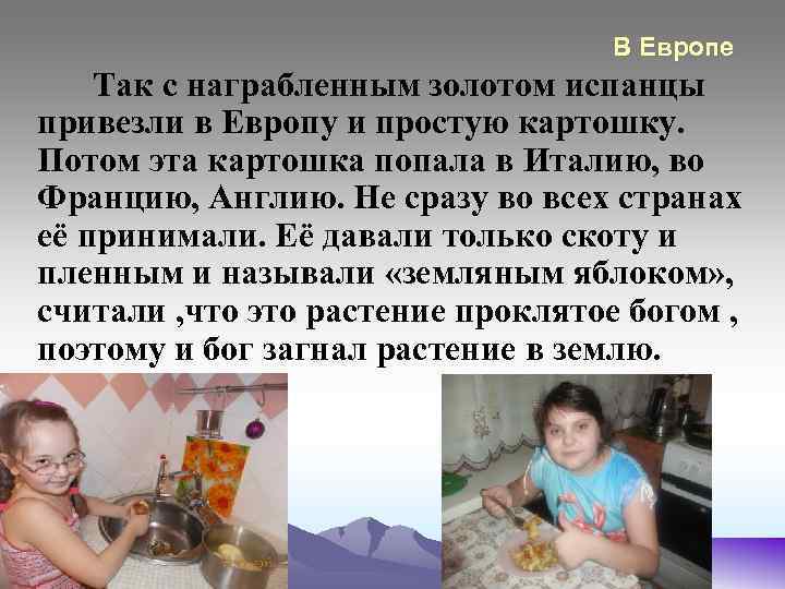 В Европе Так с награбленным золотом испанцы привезли в Европу и простую картошку. Потом