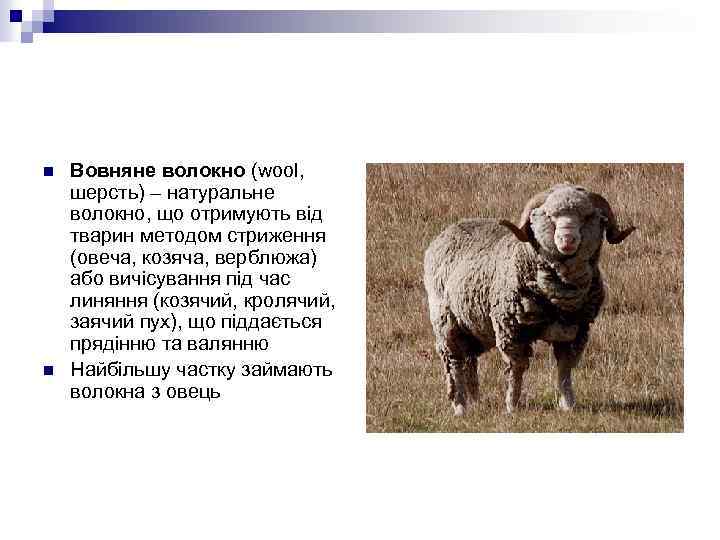 n n Вовняне волокно (wool, шерсть) – натуральне волокно, що отримують від тварин методом