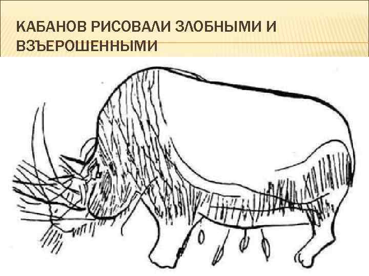 КАБАНОВ РИСОВАЛИ ЗЛОБНЫМИ И ВЗЪЕРОШЕННЫМИ 